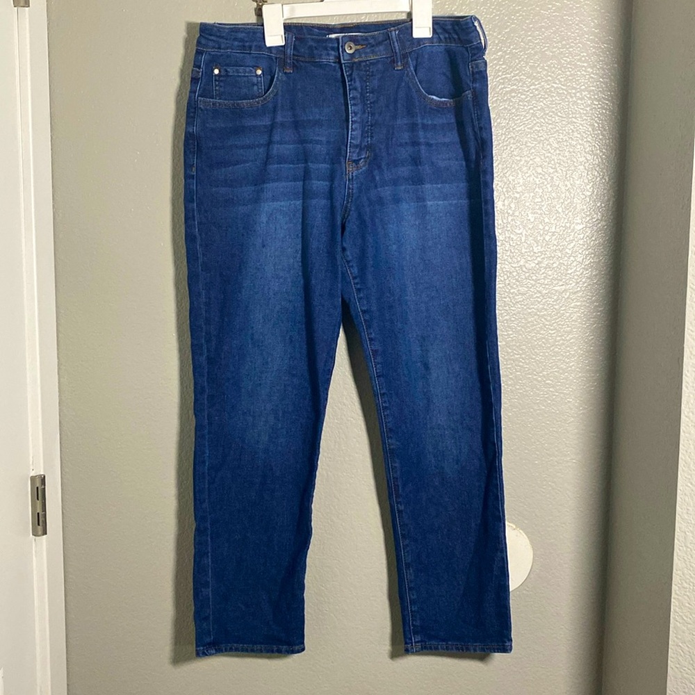 Carolyn High Rise Jean Size 10
